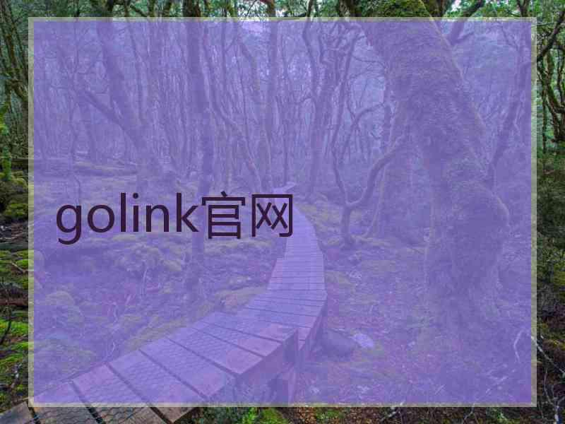 golink官网