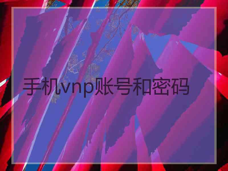 手机vnp账号和密码