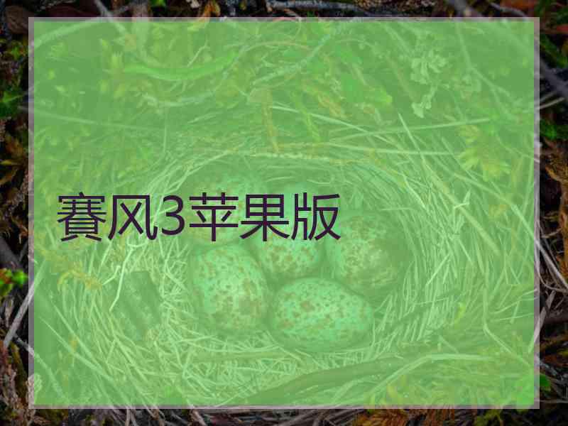 賽风3苹果版